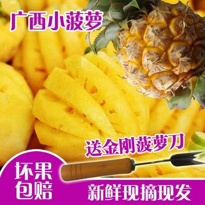 【香水菠萝】新鲜广西小菠萝热带水果现摘除味带箱9斤批发非去皮