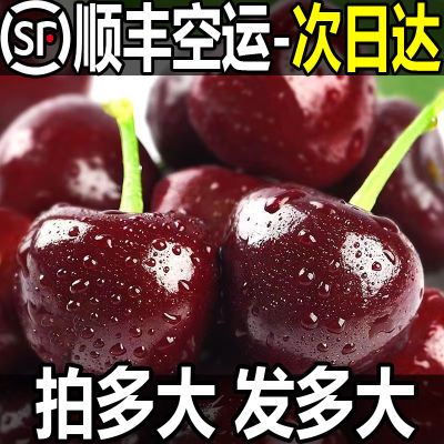 樱桃新鲜水果美枣樱桃新鲜樱桃樱桃车厘子当季樱桃特大樱桃