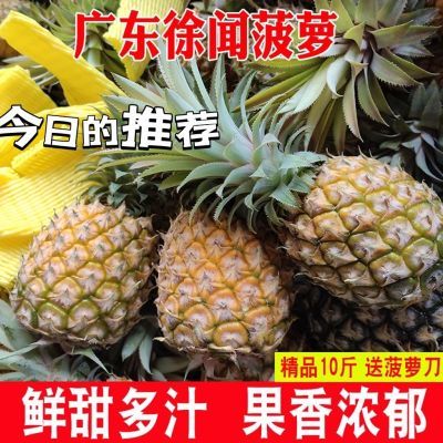 {徐闻菠萝特价10斤}新鲜采摘当季除味炒菜美味香水菠萝爆甜新鲜