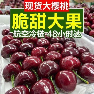 【现摘现发】山东美早大樱桃脆甜多汁孕妇新鲜水果整箱包邮车厘子