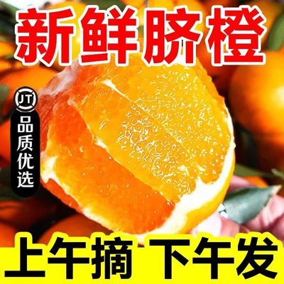 【良心精选】赣南甜脐橙当季橙子新鲜水果孕妇薄皮整箱10斤批发