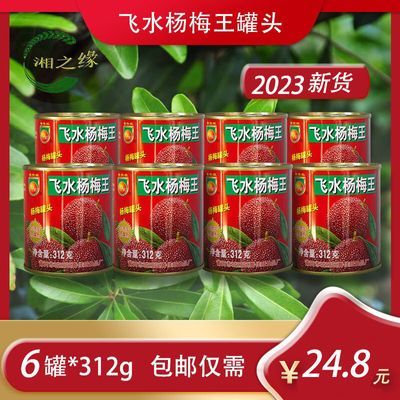 溆浦水果喜佳旺王中王杨梅罐头新鲜 糖水溆浦送礼年货包邮12瓶装