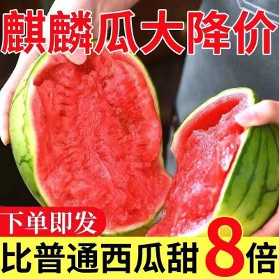 【正宗】现摘麒麟超甜薄皮8424西瓜应季批发整箱无籽有籽新鲜水果