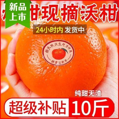 【彩箱精品】正宗沃柑超甜大果薄皮橘子10斤批发非广西武鸣无籽