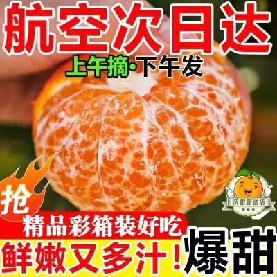 【精品批发】正宗沃柑超甜大果广西武鸣薄皮橘子批发非无籽砂糖橘