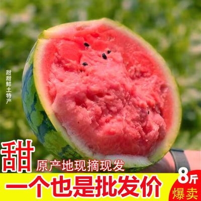 【今日优选】现摘8424麒麟薄皮西瓜新鲜水果超甜当应季整箱大西瓜