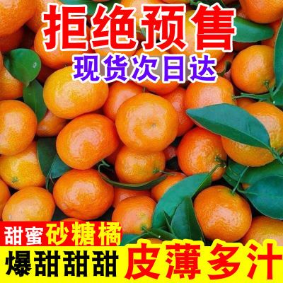 正宗广西砂糖沙糖桔新鲜桔子无籽砂糖橘批发水果应季当季薄皮橘子