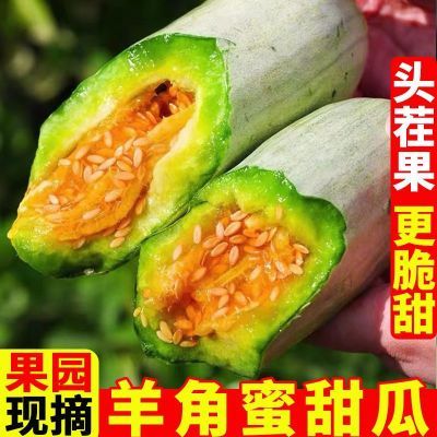 山东羊角蜜甜瓜新鲜水果5斤当季脆甜蜜瓜香瓜时令羊角脆整箱包邮