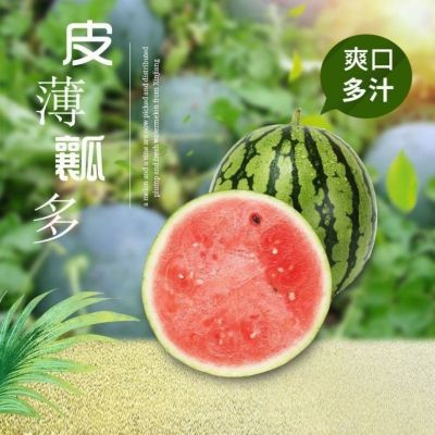 西瓜麒麟瓜薄皮多汁高山美都甜王麒麟瓜8424西瓜新鲜水果超甜