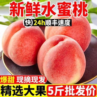 【精选】超甜水蜜桃桃子毛桃当季新鲜水果1/3/5斤整箱批发价包邮【5月14日发完】