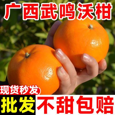 【精品】正宗广西武鸣沃柑应季当季整箱新鲜水果薄皮橘子柑橘桔子