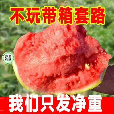 【产地大降价】现摘正宗甜王西瓜新鲜水果非美都麒麟瓜大红心爆甜