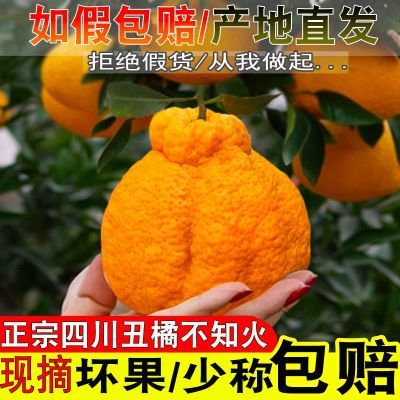 真四川丑橘不知火丑柑丑橘新鲜应季水果现摘整箱10包邮非耙耙柑