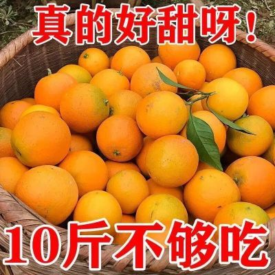 【精品】正宗赣南脐橙新鲜赣州橙子江西甜橙水果果冻鲜橙批发包邮