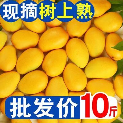 【爆甜】广西小台农新鲜时令水果当季正宗芒果台芒10斤装整箱包邮