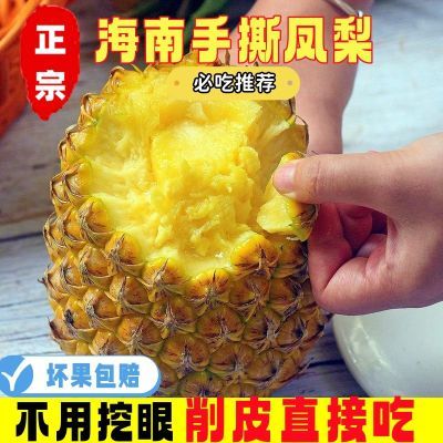 自然搭档正宗海南手撕凤梨新鲜香水非菠萝应季热带水果4.5斤