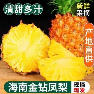 正宗海南金钻凤梨新鲜即食爆甜多汁现摘现发当季孕妇鲜果水果包邮