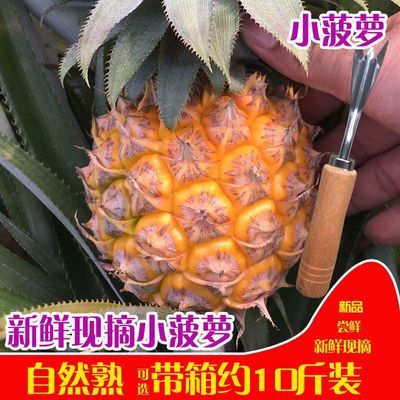 泰国品种小菠萝迷你香水小菠萝新鲜水果凤梨带箱10斤/8斤/5斤/2斤