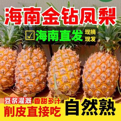 【海南直发】海南金钻凤梨 应季水果自然熟新鲜现摘现发1-10斤