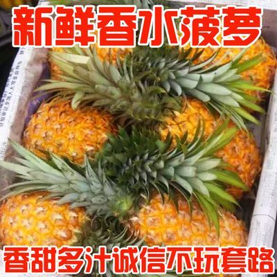 新鲜大菠萝】香水菠萝海南水果香甜多汁手撕菠萝小菠萝非金钻凤梨