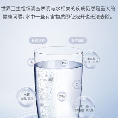 德国BWT小黑钻即热式饮水机家用台式净水器小型加热净饮一体机