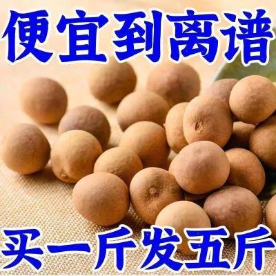 【当季新货】莆田桂圆干龙眼干壳薄肉厚正宗干货福建特产便宜批发