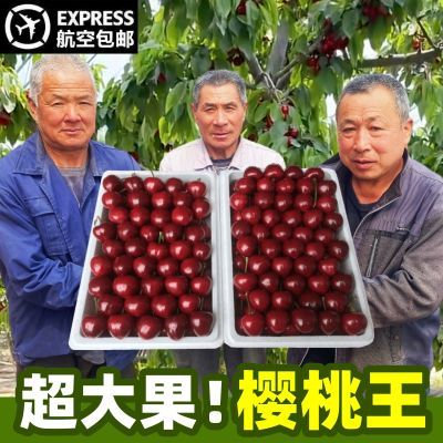 正宗山东大樱桃5斤新鲜车厘子现摘现发美早特大露天3整箱脆甜批发【5月18日发完】