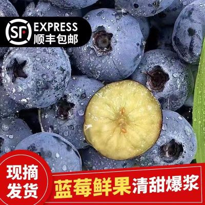 【顺丰现摘】正宗新鲜丹东蓝莓宝宝辅食蓝莓鲜果整箱批发包邮