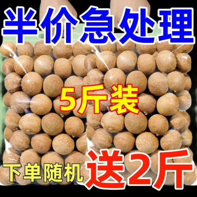 【特级果】正宗桂圆特级一等品散装壳薄肉厚核小整箱便宜批发