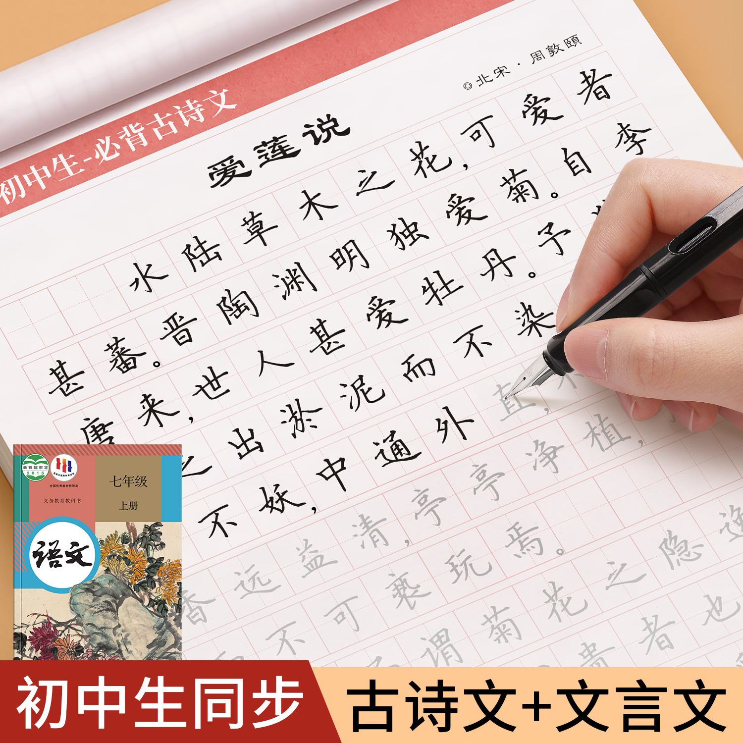 初中生专用练字帖中学生语文必备61篇古诗词字帖七年级八年级古诗文文言文正楷入门基础训练成年男硬笔书法楷书控笔训练临摹练习