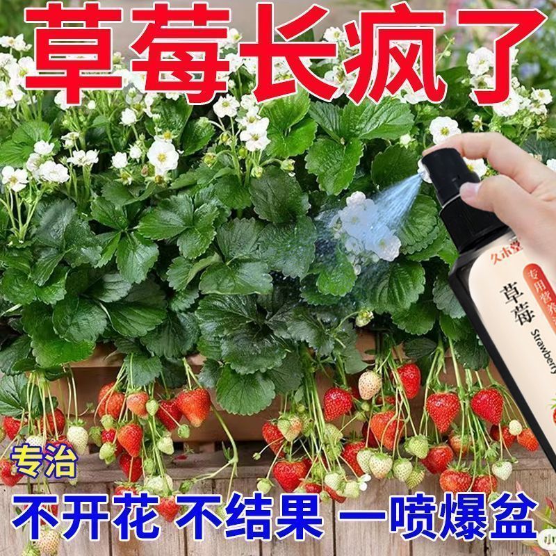 草莓肥料专用肥营养液家用盆栽有机肥料植物通用型生长坐果期瓜果