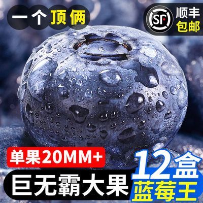 畅销100W+】现摘新鲜蓝莓大果当季孕妇儿童护眼新鲜水果整箱批发