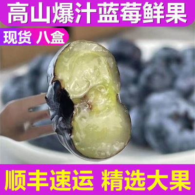 【顺丰速运】新鲜蓝莓水果云南当季应季护眼孕妇宝宝辅食蓝莓批发