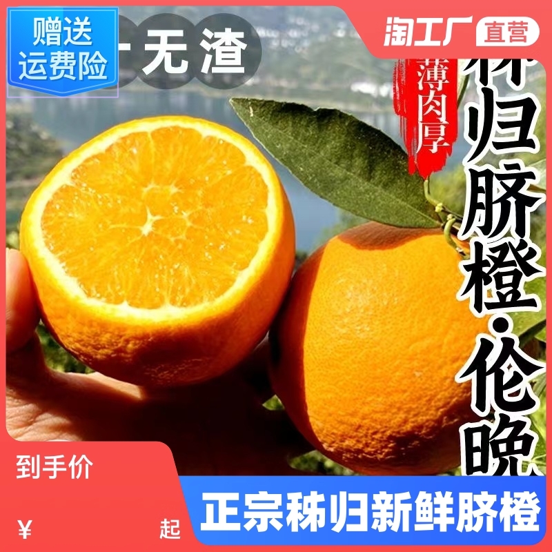 正宗伦晚脐橙秭归春橙当季新鲜湖北甜橙子孕妇水果整箱南10斤大