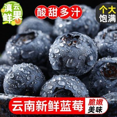 新鲜蓝莓大果云南新鲜果应季时令水果孕妇宝宝2盒4盒6盒包邮