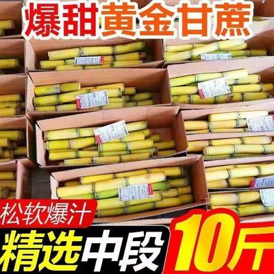 正宗云南黄金甘蔗手撕榨汁薄皮爆甜多汁包脆皮中段新鲜9斤/5斤釒/