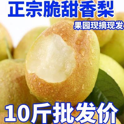 正宗薄皮库尔勒香梨多汁应季一整箱水果批发当季1-10斤包邮