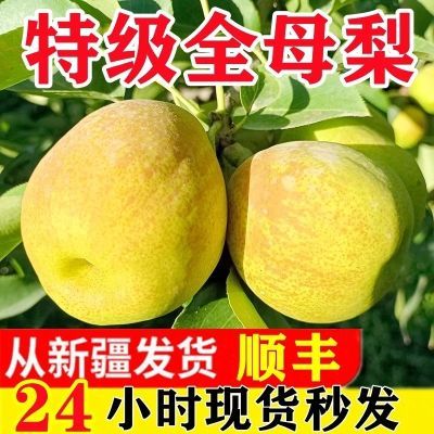 【万人疯抢】正宗新疆库尔勒香梨特级全母梨子薄皮新鲜当季水果