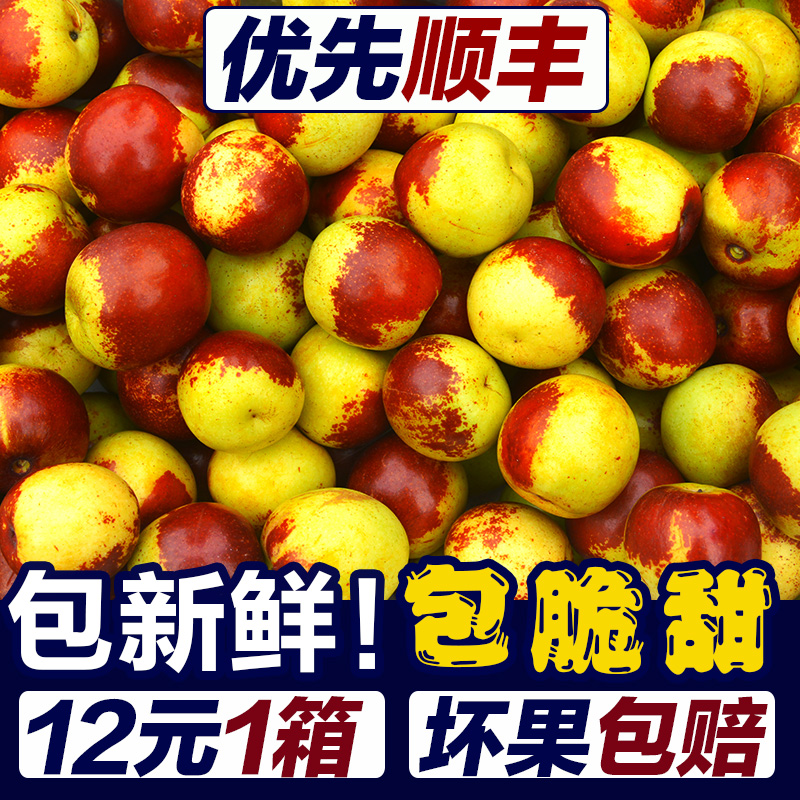 冬枣新鲜大枣山东沾化当季整箱5斤现摘现发青枣红枣新鲜水果枣子3