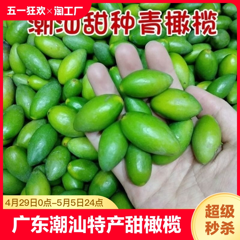 新鲜甜橄榄广东潮汕特产青枣脆橄榄现摘橄榄果生吃煲汤泡茶青橄榄