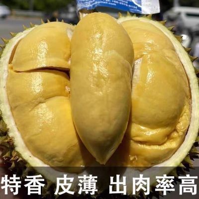 批发榴莲正宗新鲜榴莲整颗带壳大果现货AA级泰国进口榴莲非榴莲肉