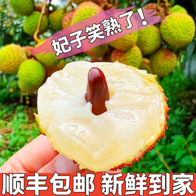 顺丰包邮海南妃子笑荔枝大果新鲜当季水果冰鲜现摘包邮3/4.5斤【5月12日发完】