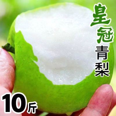 赵县梨子青皮皇冠梨10斤5斤3斤当季水果脆甜皮薄多汁整箱批发包邮