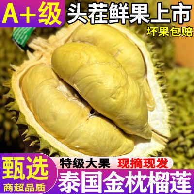 新鲜泰国榴莲金枕头榴莲带壳水果当季3-新鲜整果坏果包赔直发包邮