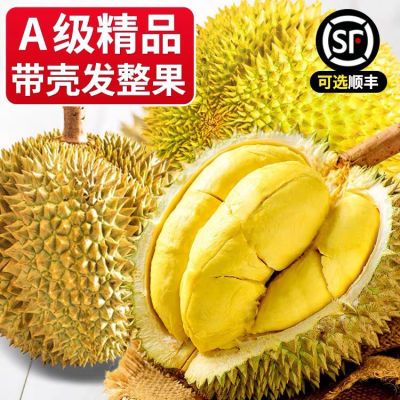 泰国金枕头榴莲带壳新鲜水果巴掌一整个批发特价整箱包邮非猫山王