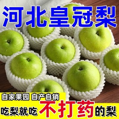 【严选品质】皇冠梨新鲜水果青皮梨当季整箱薄皮无渣现摘整箱批发