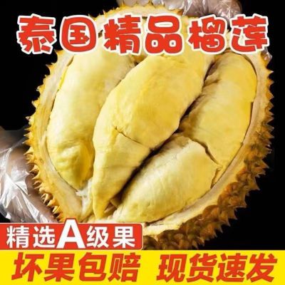 新鲜泰国榴莲金枕头榴莲带壳水果3-10斤新鲜整果坏果包赔直发包邮