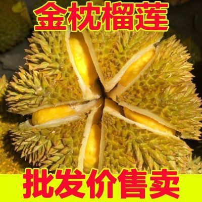 泰国金枕头榴莲新鲜水果带壳榴莲整个巴掌鲜果批发非猫山王榴莲肉