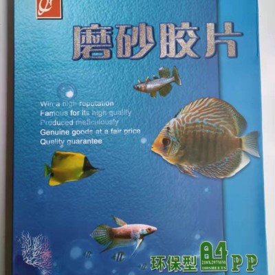 A4千片胶片20丝透明装订40丝磨砂封面创意文具装订环保办公耗材