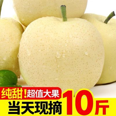 正宗皇冠梨皇冠梨10斤5斤1斤薄皮新鲜止咳一整箱产地直发果园包邮